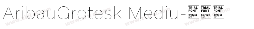 AribauGrotesk Mediu字体转换